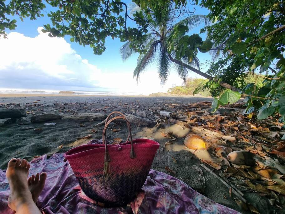 Villa Amor Del Mar With Breathtaking View Of Ocean & Jungle Доминикаль Экстерьер фото