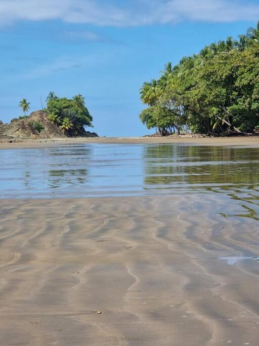 Villa Amor Del Mar With Breathtaking View Of Ocean & Jungle Доминикаль Экстерьер фото