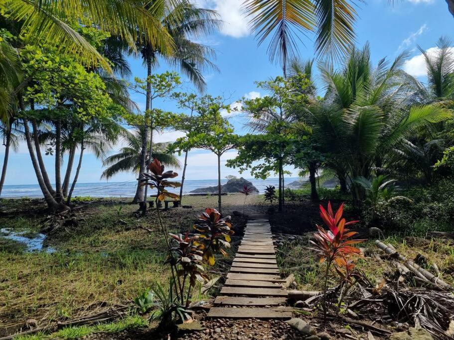 Villa Amor Del Mar With Breathtaking View Of Ocean & Jungle Доминикаль Экстерьер фото