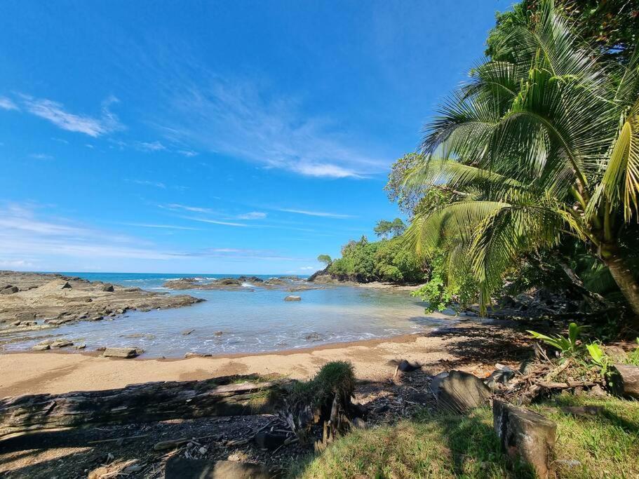 Villa Amor Del Mar With Breathtaking View Of Ocean & Jungle Доминикаль Экстерьер фото