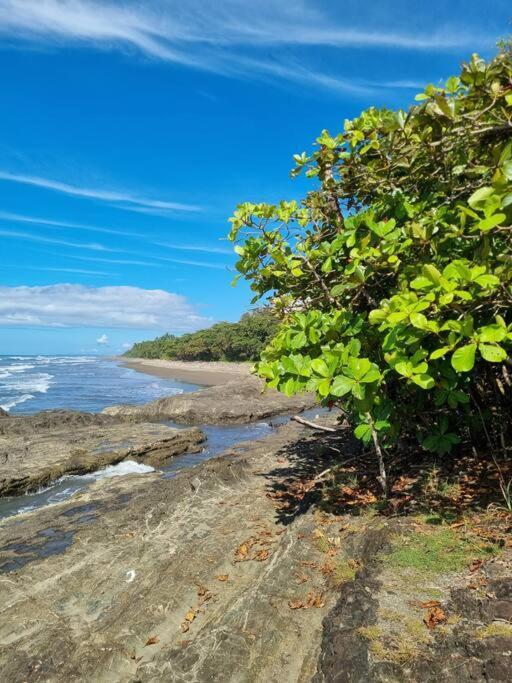 Villa Amor Del Mar With Breathtaking View Of Ocean & Jungle Доминикаль Экстерьер фото
