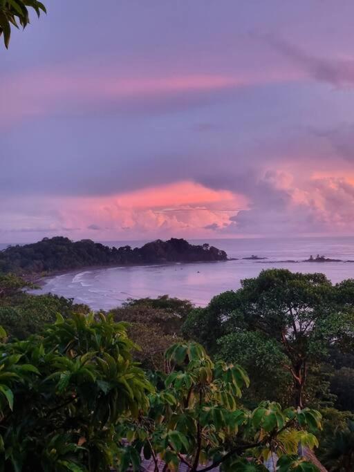 Villa Amor Del Mar With Breathtaking View Of Ocean & Jungle Доминикаль Экстерьер фото