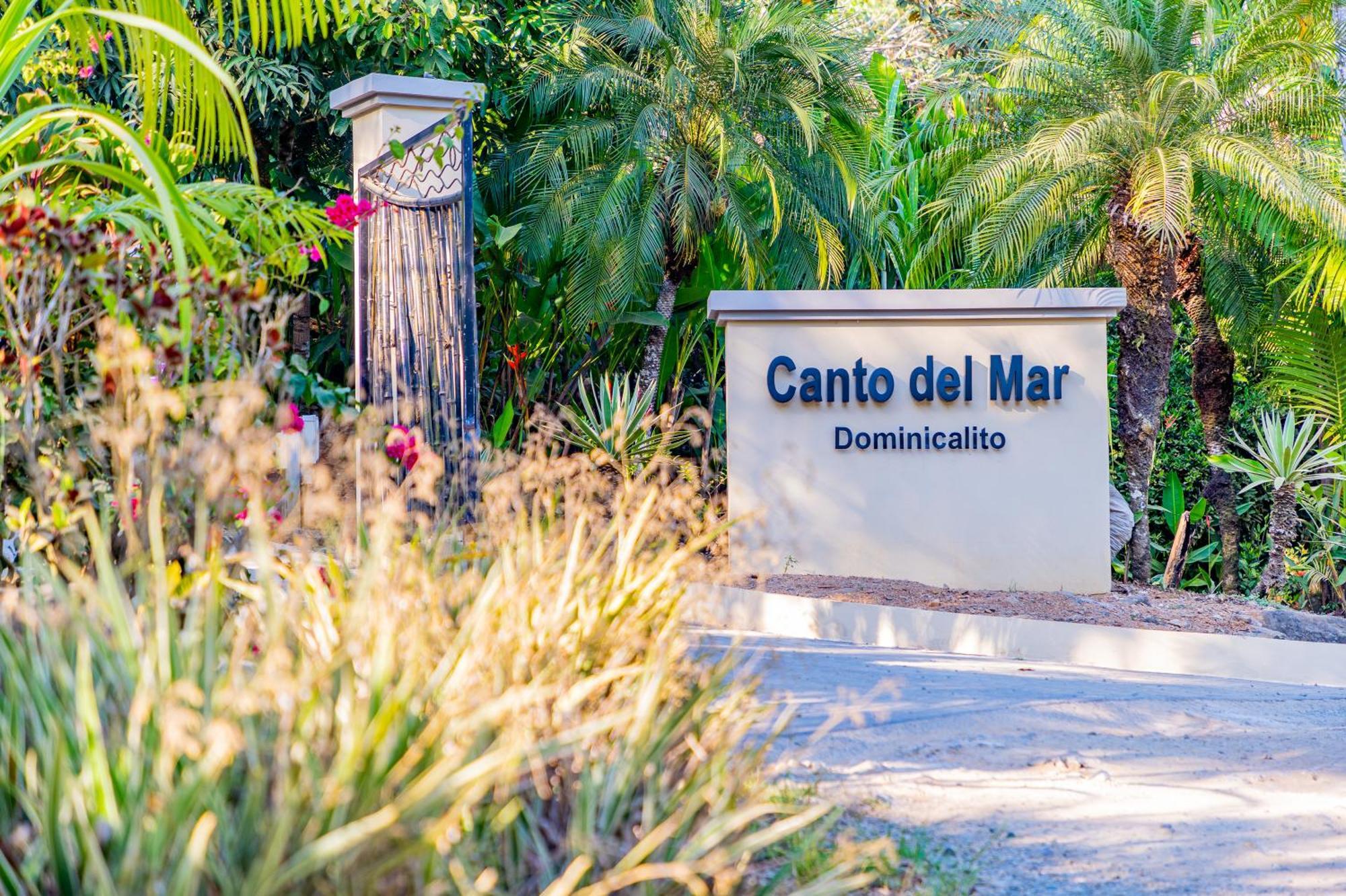 Villa Amor Del Mar With Breathtaking View Of Ocean & Jungle Доминикаль Экстерьер фото